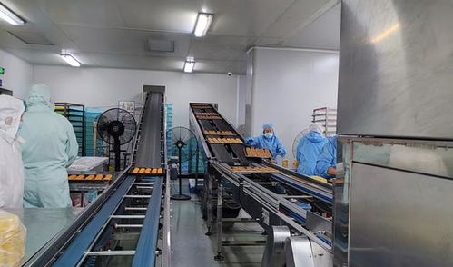 上海月饼代工厂转型调查 500种口味推陈出新，B端市场仍有潜力优势
